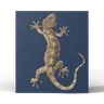 GetCoat Origin