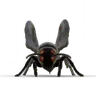 Furnet B