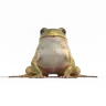 Furog Origin