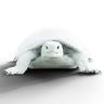 Furtle W