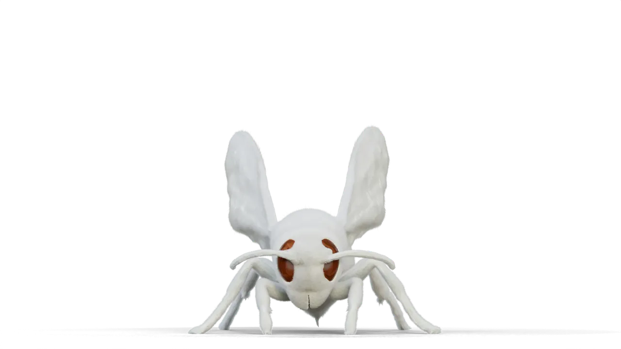 Furnet White